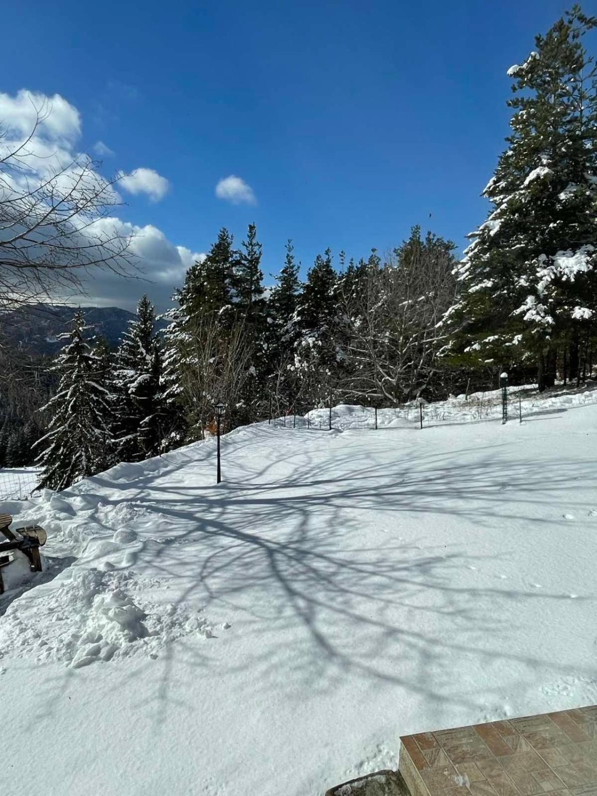 Cassiopea Villas Pamporovo Buitenkant foto